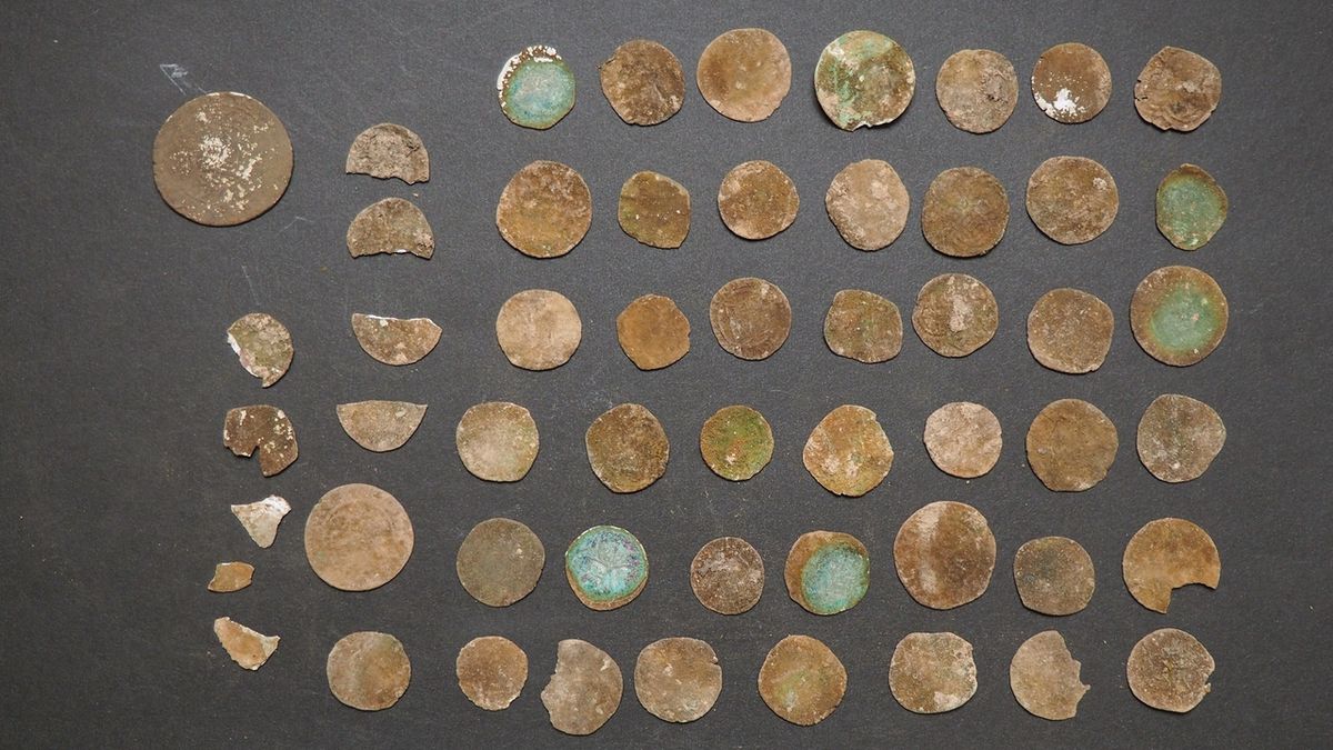 Hledač pokladů našel v Moravském krasu 50 stříbrných mincí
